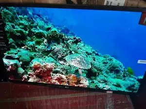 Android LG 55" Smart Television