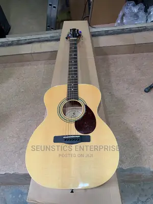 Quality Samick Greg Brennette Design Acoustic Guitar