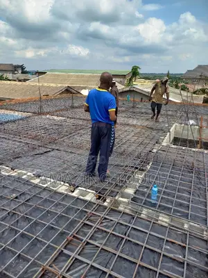 Professional Building Contractor