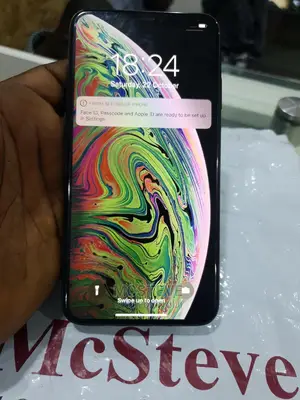 Apple iPhone XS Max 64 GB Gray