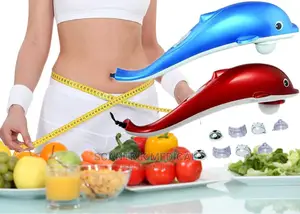 Dolphin Massager Relieves