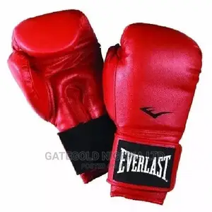 Ever-Last Boxing Gloves