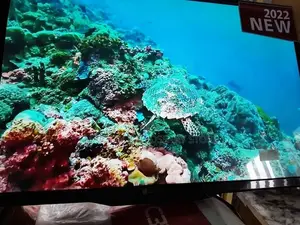 49" LG Plasma TV