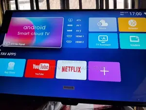 65 Inches LG Flat Screen Television