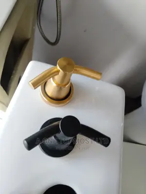 Double Hook Hanger