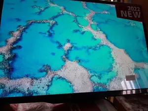 LG Flat Screen TV 49 Inches