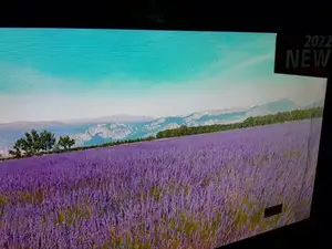 55 Inches Lg Smart Wall Screen Android Tv
