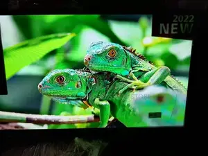 New Lg 49 Inches Wall Screen Smart Television
