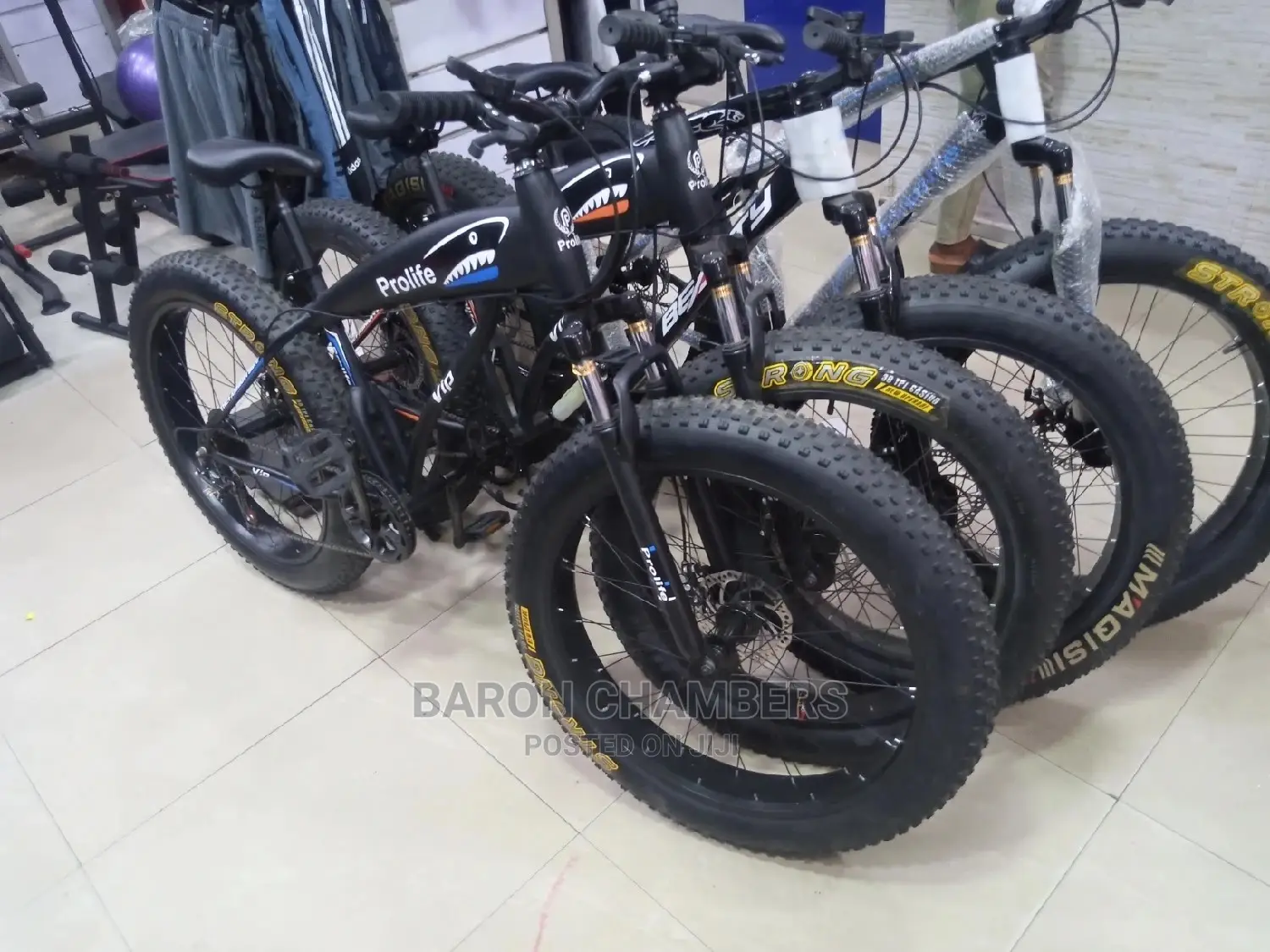 Fat Tyre Bicycle