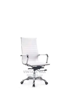 Executive Office Revolving Chair.