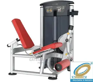 It9505 Leg Extension