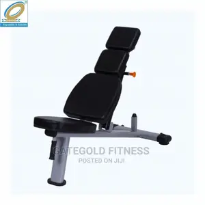 Wt-A57 Adjustable Dumbbell Bench (Premium)