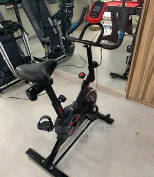 Home Use Original Sports Spinning Bike