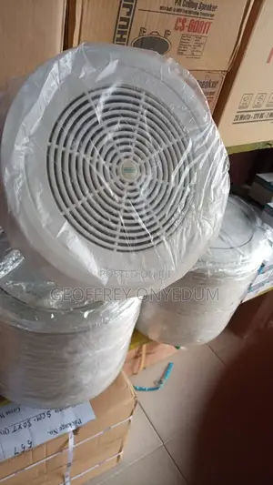 Ceiling Speakers Ahuja