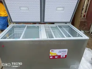 LG 500L Chest Freezer Double Door