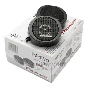 TS-S20 20mm Pioneer Car Speaker 200w Max