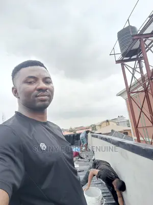 Roof Repair Expert