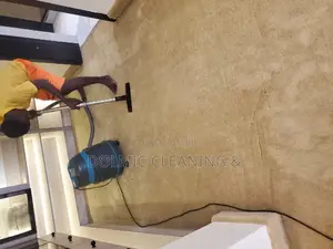 Carpet / Rug Cleaners