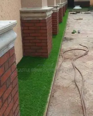 20mm Carpet Grass Turkish