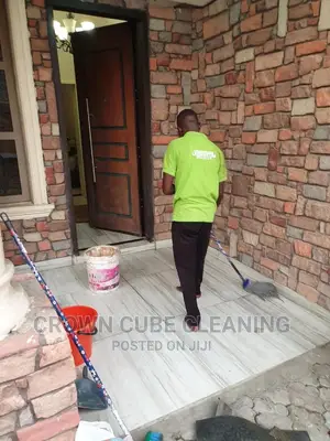Professional House Cleaning