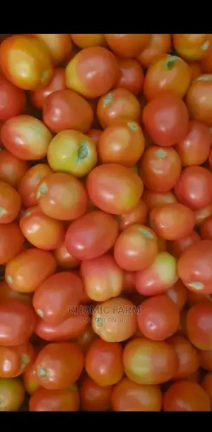 Farm Produce