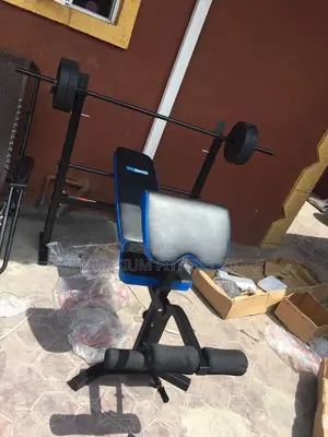 Pro Fitness Bench Blue and Black