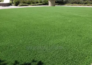 Artificial Green Grass