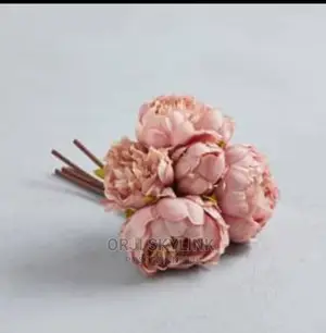 Bunches of Artificial Pionny