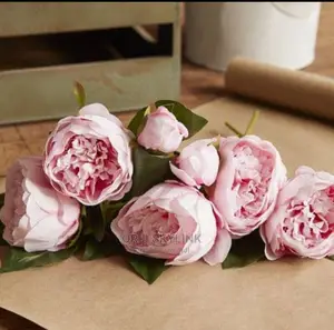 Pionny Roses Flower