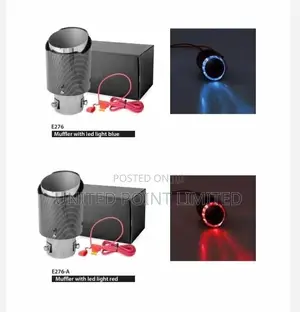 Exhaust Muffler With Light