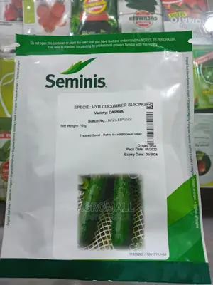 Hybrid Cucumber Seeds (Different Varieties)