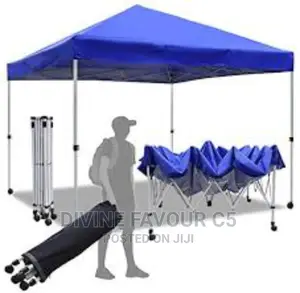 10*10 Foldable Canopy