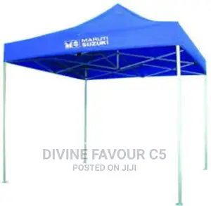 10*10 Foldable Canopy