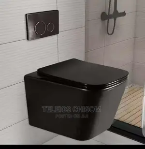 Wall Hung Wc Black