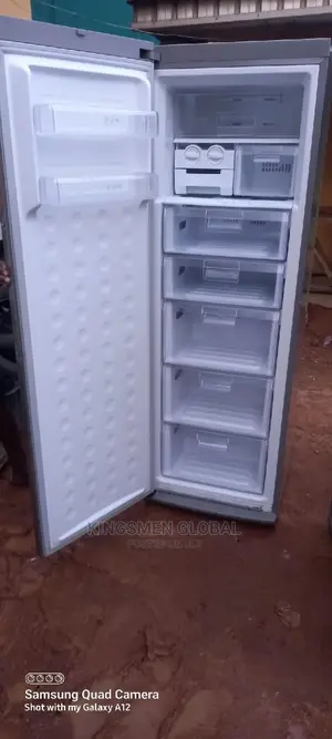 High Quality Samsung Inverter Upright Freezer From Germany