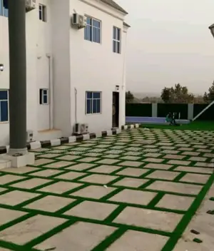 Turkish Artificial Grass Carpet Grass 25mm
