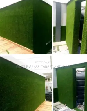 Carpet Grass Sales and Installation