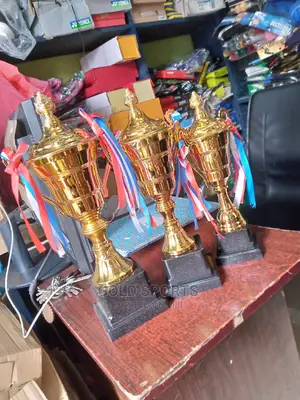 Set of Trophy Award 00901
