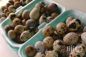 Quail Eggs.
