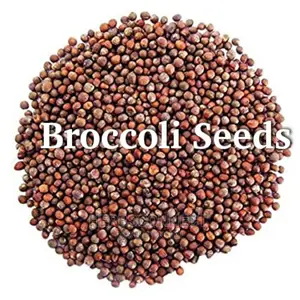 Organic Broccoli Seeds - 100g
