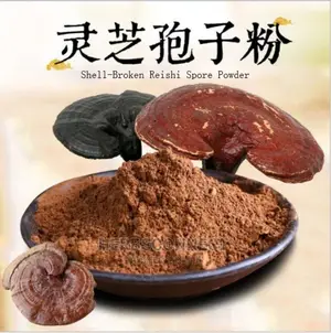 Organic Reishi Muchroom Powder - 100g