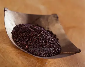 Grains Of Paradise (Alligator Pepper) - 125g