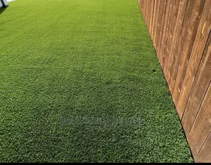 Synthetic Turf/Grass