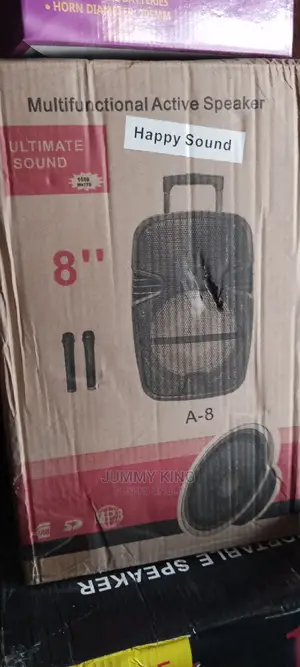 8'' Speaker Pa System With 2 Mic