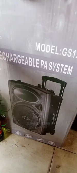 12" Speaker PA System With 2 Mic