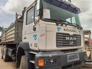 Man Tga Tipper Gray 1998