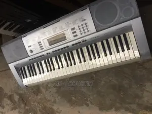 Casio CTK-4000 Personal Keyboard, 61-Key, With MP3 Connect