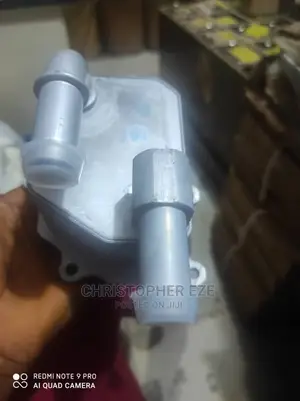 Ford Edge Oil Coolant