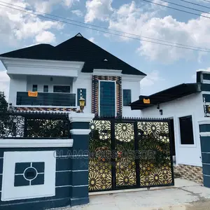 Proffesional House Paintings