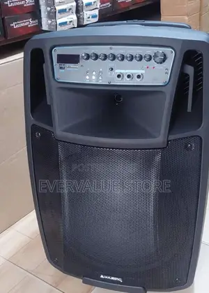 15 Inches Pa System